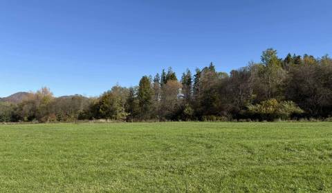 Sale Agrarian and forest land, Agrarian and forest land, Krasňany, Žil