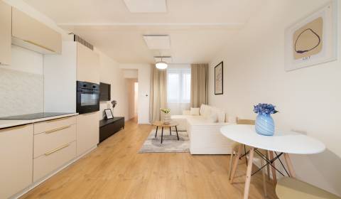 Rent One bedroom apartment, One bedroom apartment, Beniakova, Nitra, S