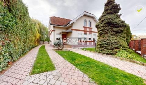 Sale Family house, Dunajská Streda, Slovakia