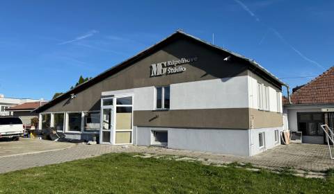 Rent Commercial premises, Commercial premises, Dolné Chlebany, Topoľča
