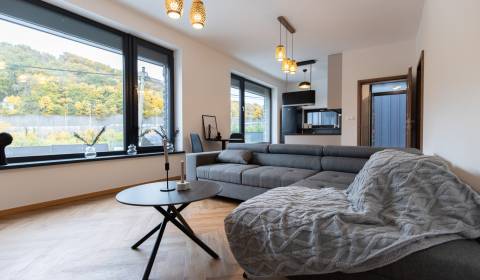 Sunny 1-bedroomed apt with parking for rent 