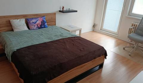 Rent Studio, Studio, Tiglerova, Bratislava - Karlova Ves, Slovakia