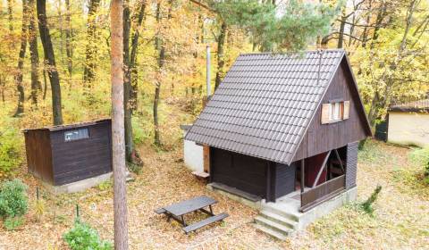 Sale Cottage, Cottage, Senica, Slovakia