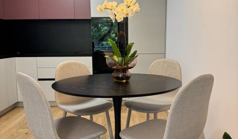 Rent One bedroom apartment, One bedroom apartment, Košická, Bratislava