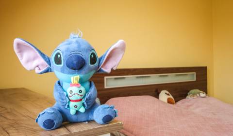 Sale Three bedroom apartment, Three bedroom apartment, Trenčín, Slovak