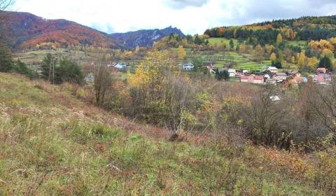 Sale Gardens, Gardens, Bytča, Slovakia