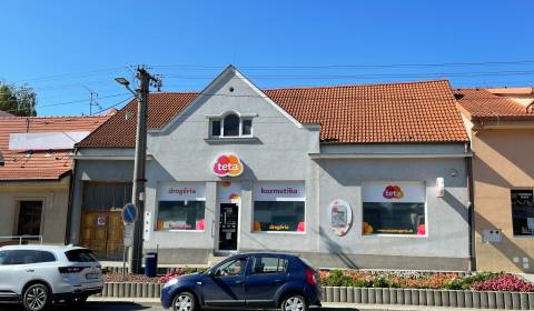 Sale Family house, Family house, M .A .Beňovského, Piešťany, Slovakia