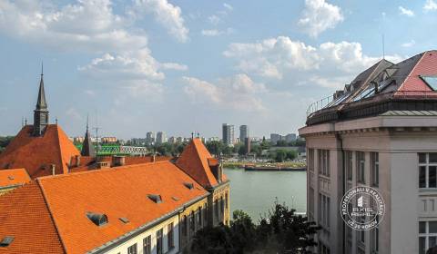 Rent One bedroom apartment, One bedroom apartment, Vajanského nábr., B