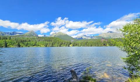 Sale Agrarian and forest land, Agrarian and forest land, Poprad, Slova