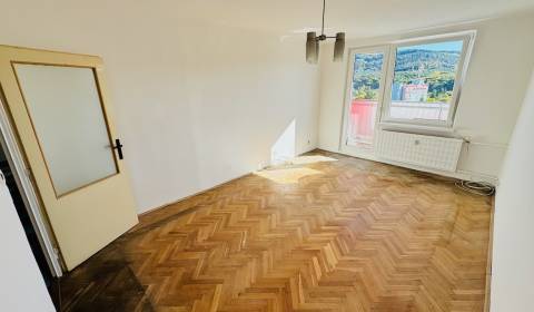 Sale Studio, Studio, Nádražná, Partizánske, Slovakia