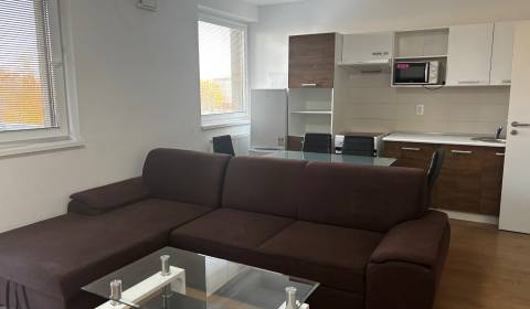 Rent One bedroom apartment, One bedroom apartment, Okružná, Pezinok, S