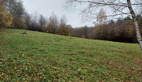 Sale Recreational land, Recreational land, Martin, Slovakia