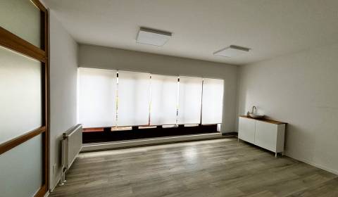 Rent Commercial premises, Commercial premises, Štúrovo nám., Trenčín, 