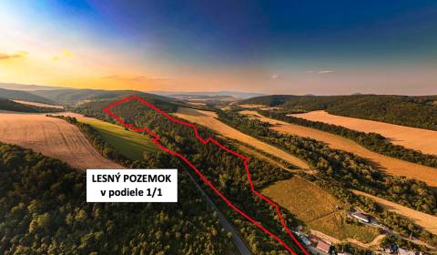 Sale Agrarian and forest land, Agrarian and forest land, Prešov, Slova