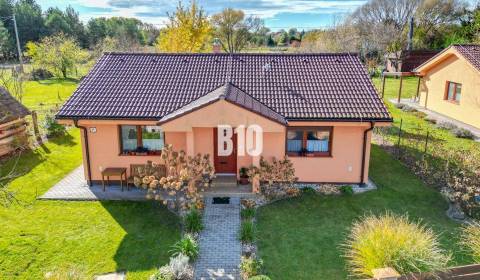 Sale Family house, Family house, Senica, Slovakia