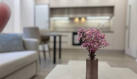 Rent One bedroom apartment, One bedroom apartment, Zálužická, Bratisla