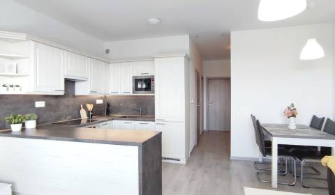 Rent One bedroom apartment, One bedroom apartment, Predmerského, Trenč