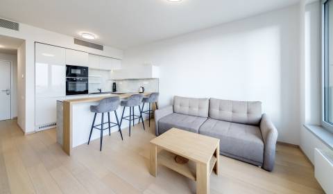  Modern design 1bdr apt 45m2, with loggia and parking, SKY PARK 