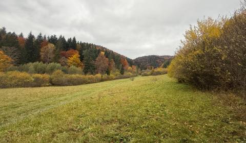 Sale Recreational land, Recreational land, Čertov, Púchov, Slovakia