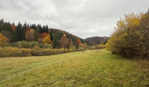 Sale Recreational land, Recreational land, Čertov, Púchov, Slovakia