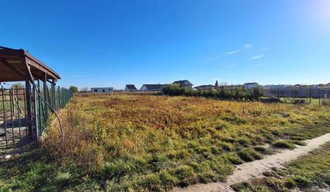 Sale Gardens, Gardens, Nové Košariská, Senec, Slovakia
