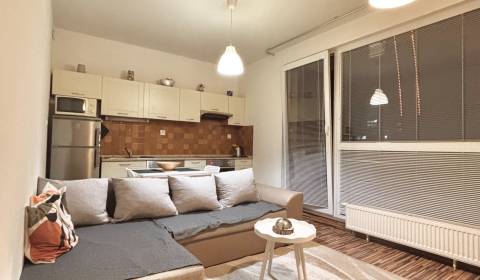 Rent One bedroom apartment, One bedroom apartment, Pivovarská, Nitra, 