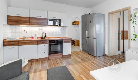 Rent One bedroom apartment, One bedroom apartment, Námestie hraničiaro