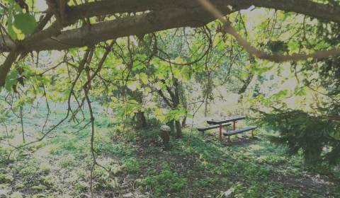 Searching for Gardens, Gardens, Srnková, Banská Bystrica, Slovakia