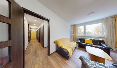 Renovated apartment for rent 