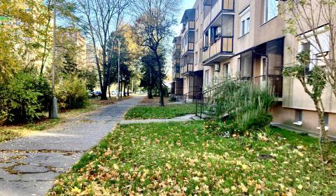 Sale Studio, Studio, Eótvosa, Komárno, Slovakia