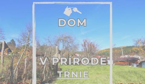 Sale Family house, Family house, Zvolen, Slovakia