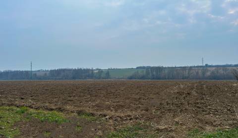 Sale Agrarian and forest land, Agrarian and forest land, Pezinok, Slov