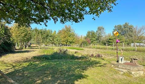 Sale Land – for living, Land – for living, Martovce, Komárno, Slovakia