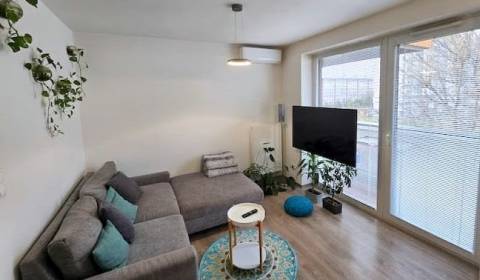 Rent One bedroom apartment, One bedroom apartment, Muchovo nám., Brati