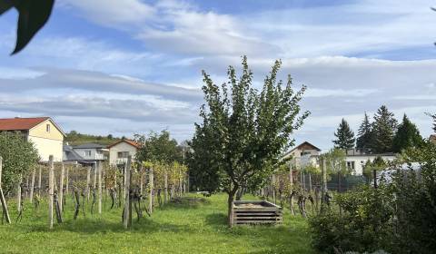 Sale Family house, Family house, Puškinova, Pezinok, Slovakia