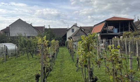 Sale Family house, Family house, Puškinova, Pezinok, Slovakia