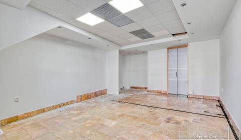 Rent Commercial premises, Commercial premises, Dolnopotočná, Trnava, S