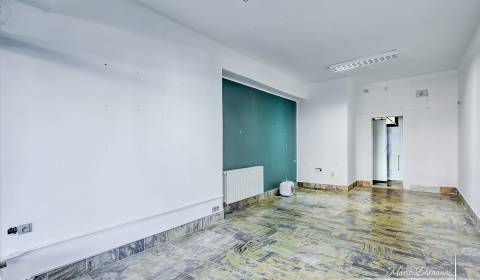 Rent Commercial premises, Commercial premises, Dolnopotočná, Trnava, S