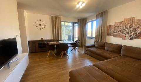 FOR RENT 1-bedroom modern apartment with terrace, NEW BUILDING, garage