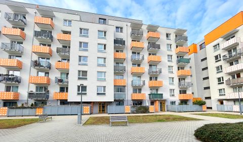 Rent One bedroom apartment, One bedroom apartment, Pri Hrubej lúke, Br