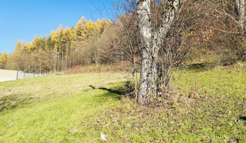 Sale Land – for living, Land – for living, Broskyňová, Prešov, Slovaki