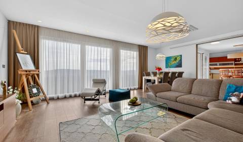 Sale Three bedroom apartment, Three bedroom apartment, Hlaváčikova, Br