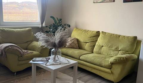 Rent One bedroom apartment, One bedroom apartment, Suvorovova, Pezinok