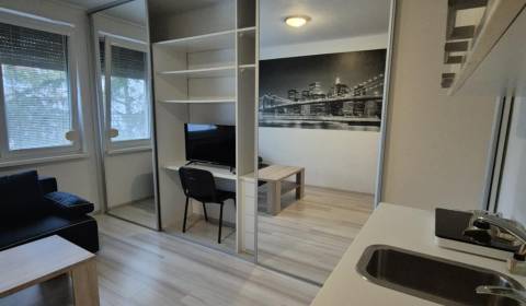 Rent Single studio, Single studio, Komárno, Slovakia