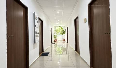 Rent Offices, Offices, Družstevná, Komárno, Slovakia