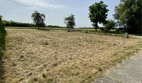 Sale Agrarian and forest land, Agrarian and forest land, Dunajská Stre