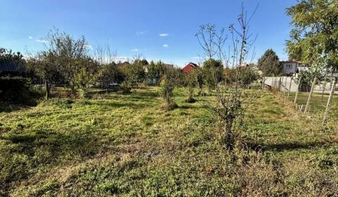 Sale Family house, Family house, Ohrady, Dunajská Streda, Slovakia