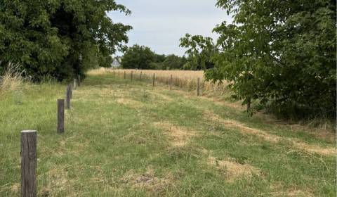 Sale Land – for living, Land – for living, Dunajská Streda, Slovakia