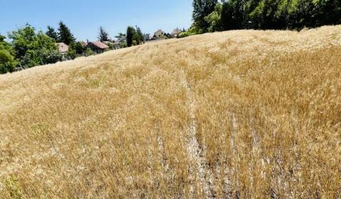 Sale Land – for living, Land – for living, Dunajská Streda, Slovakia