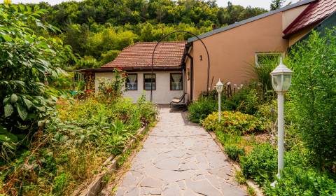 Sale Family house, Family house, Nové Mesto nad Váhom, Slovakia